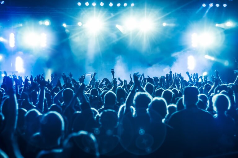 Protection d'oreille sur mesure pour la musique et les concerts